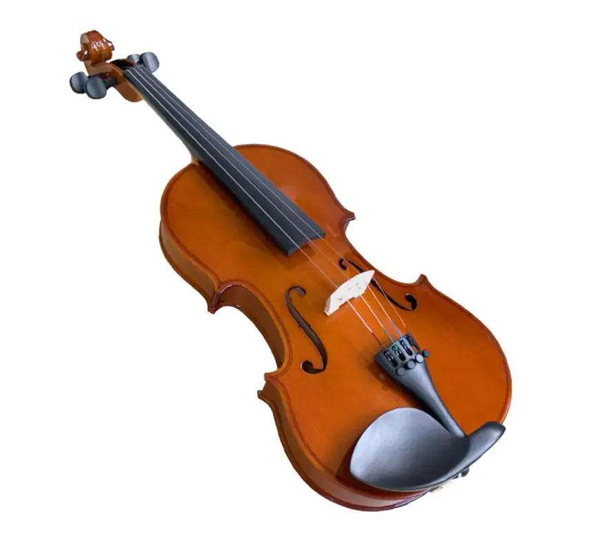 Parrot Violin Con Estuche